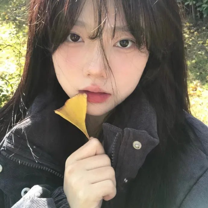 马戏春心